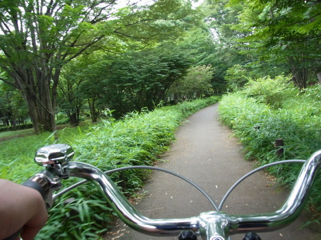 イメージ 2
