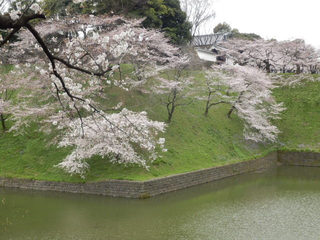 イメージ 13