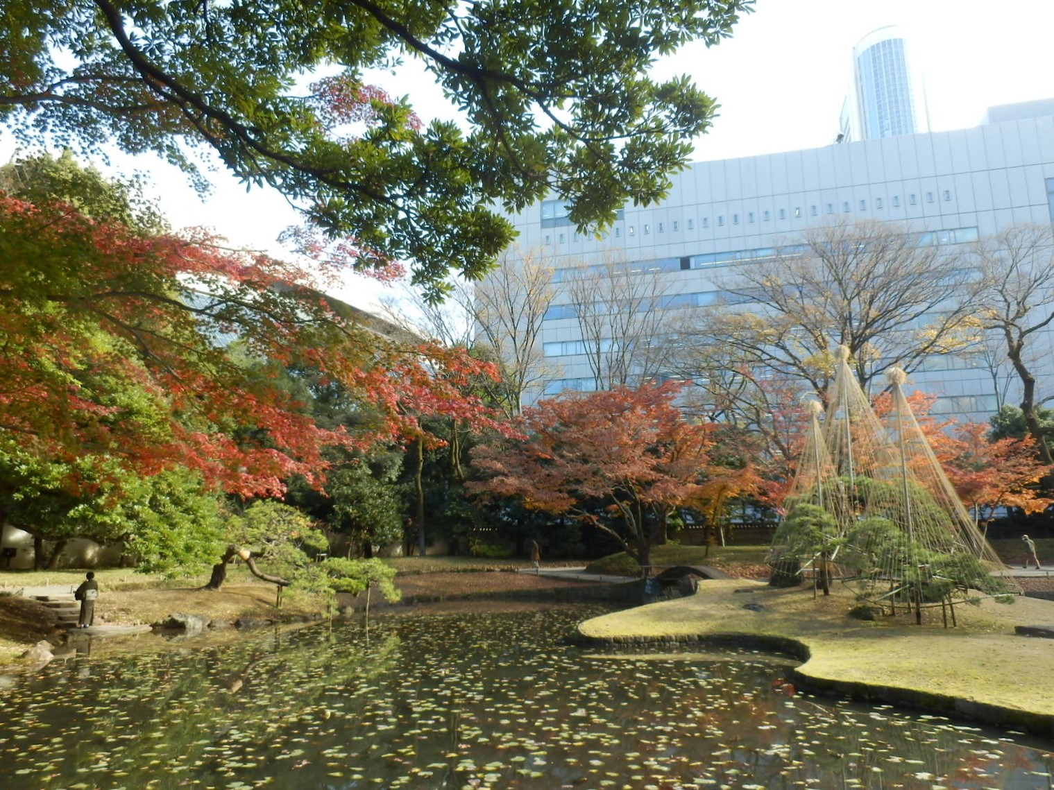 PC040055