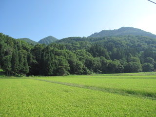 イメージ 8