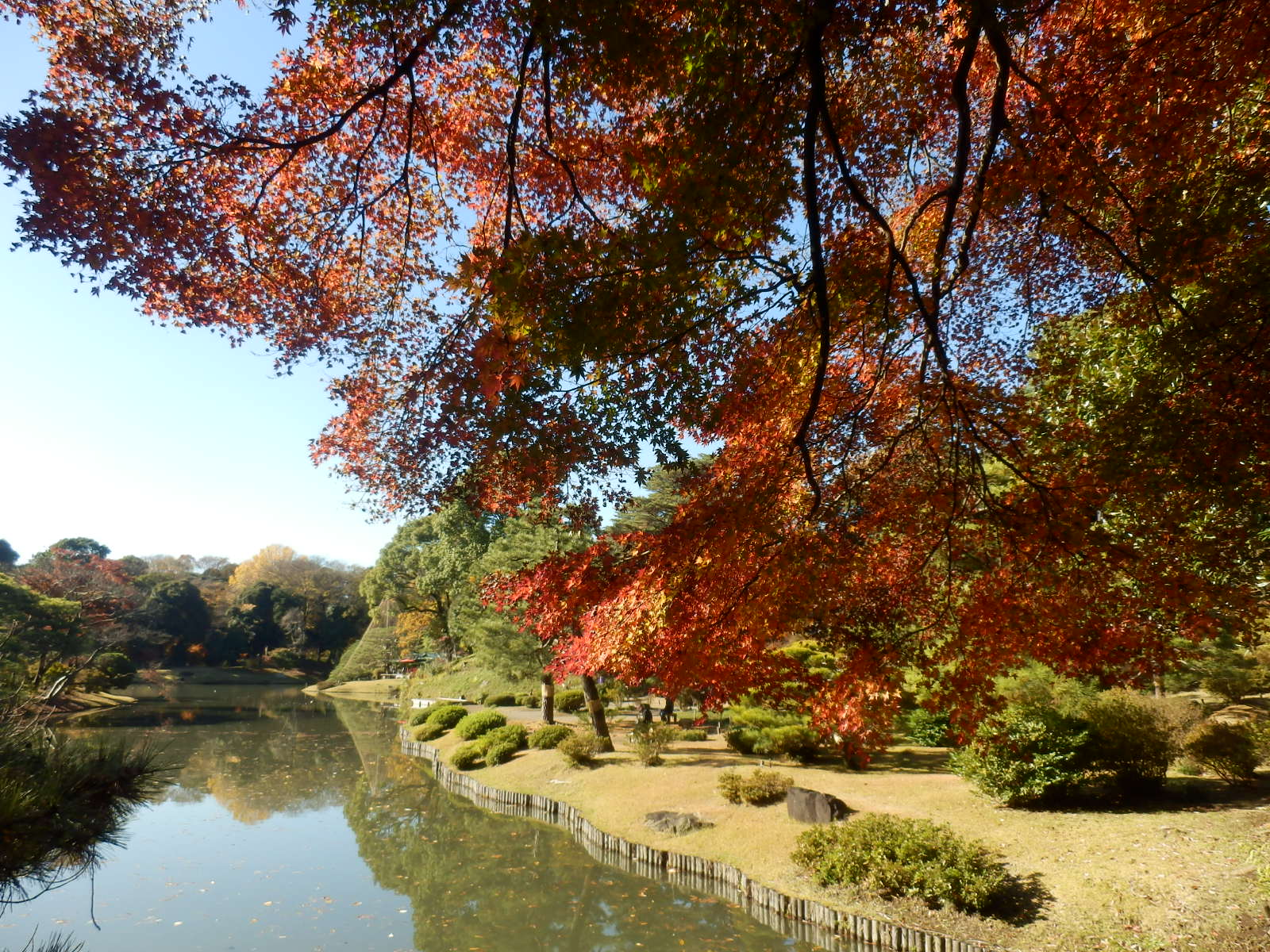 PC070060