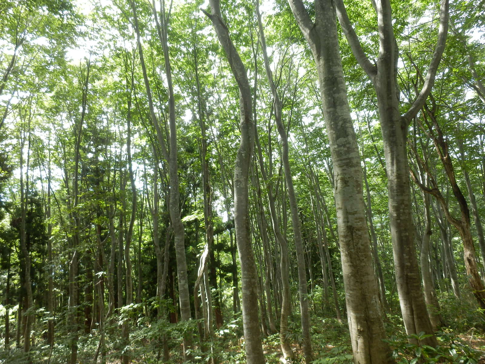 P9140066