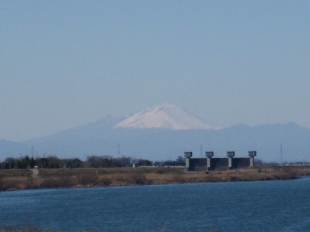 イメージ 8