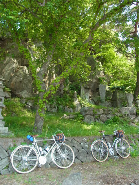 イメージ 7