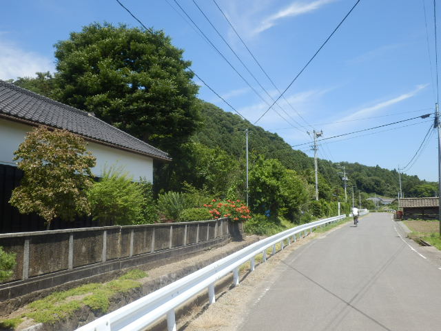 イメージ 5