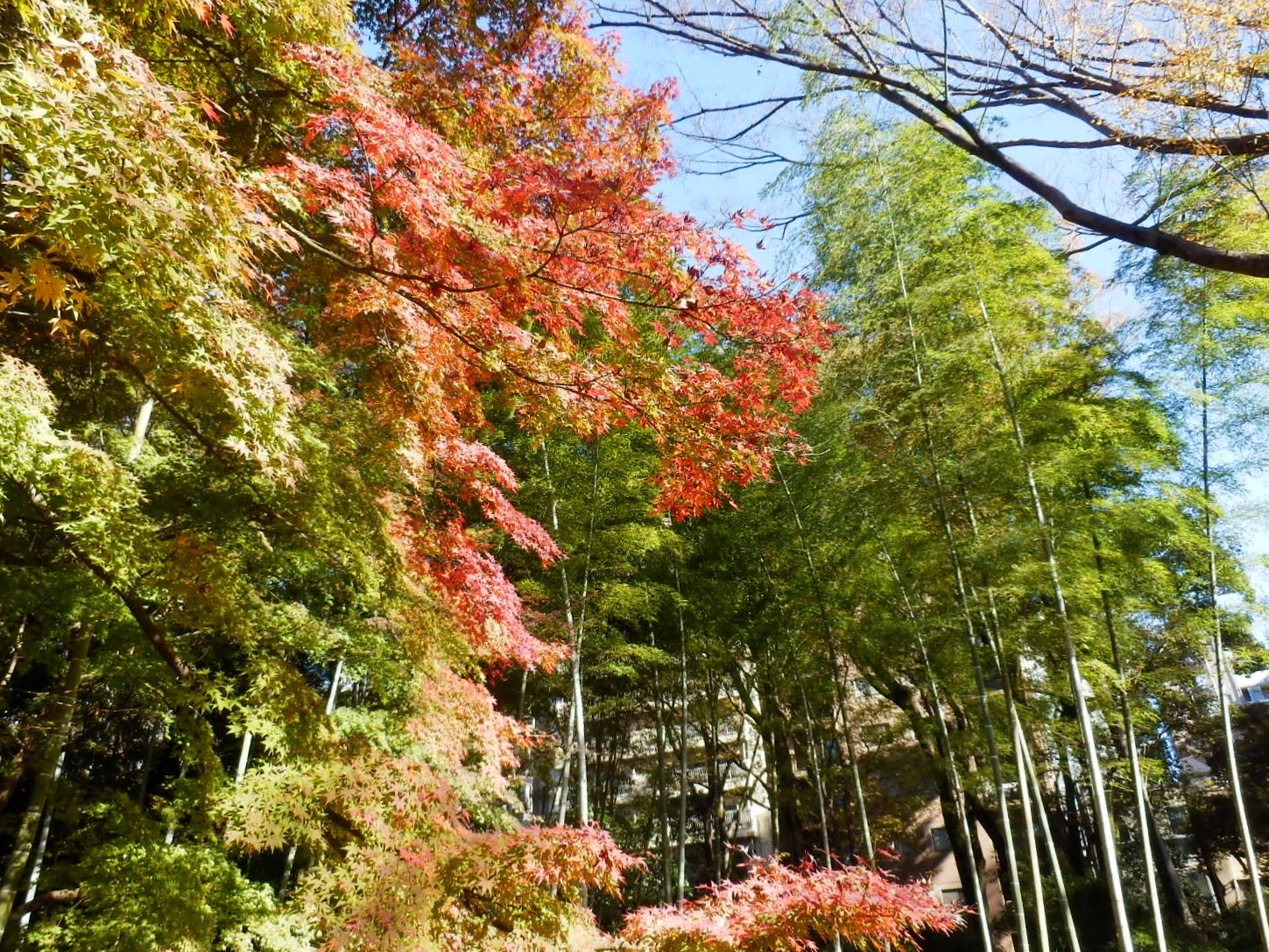 PC070066