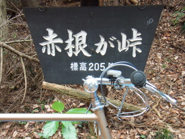 イメージ 6