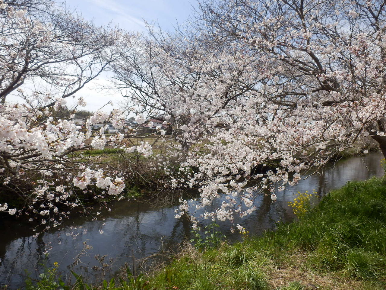 イメージ 7