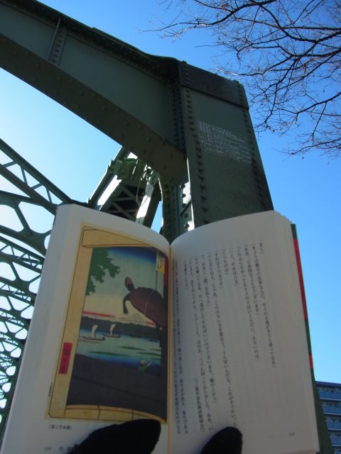 イメージ 6