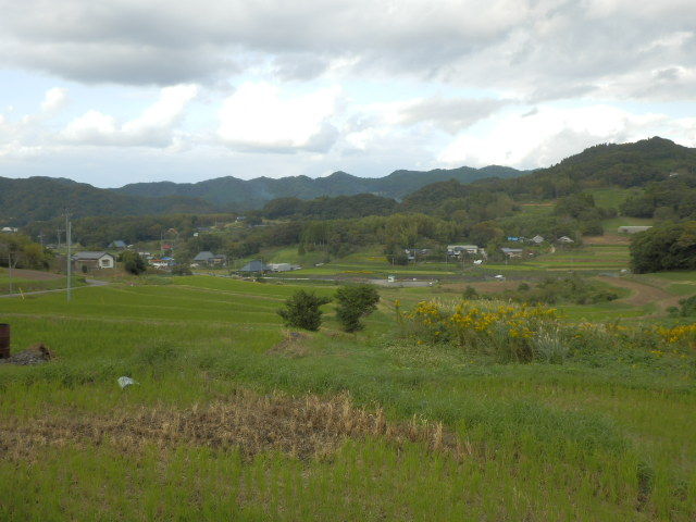 イメージ 29