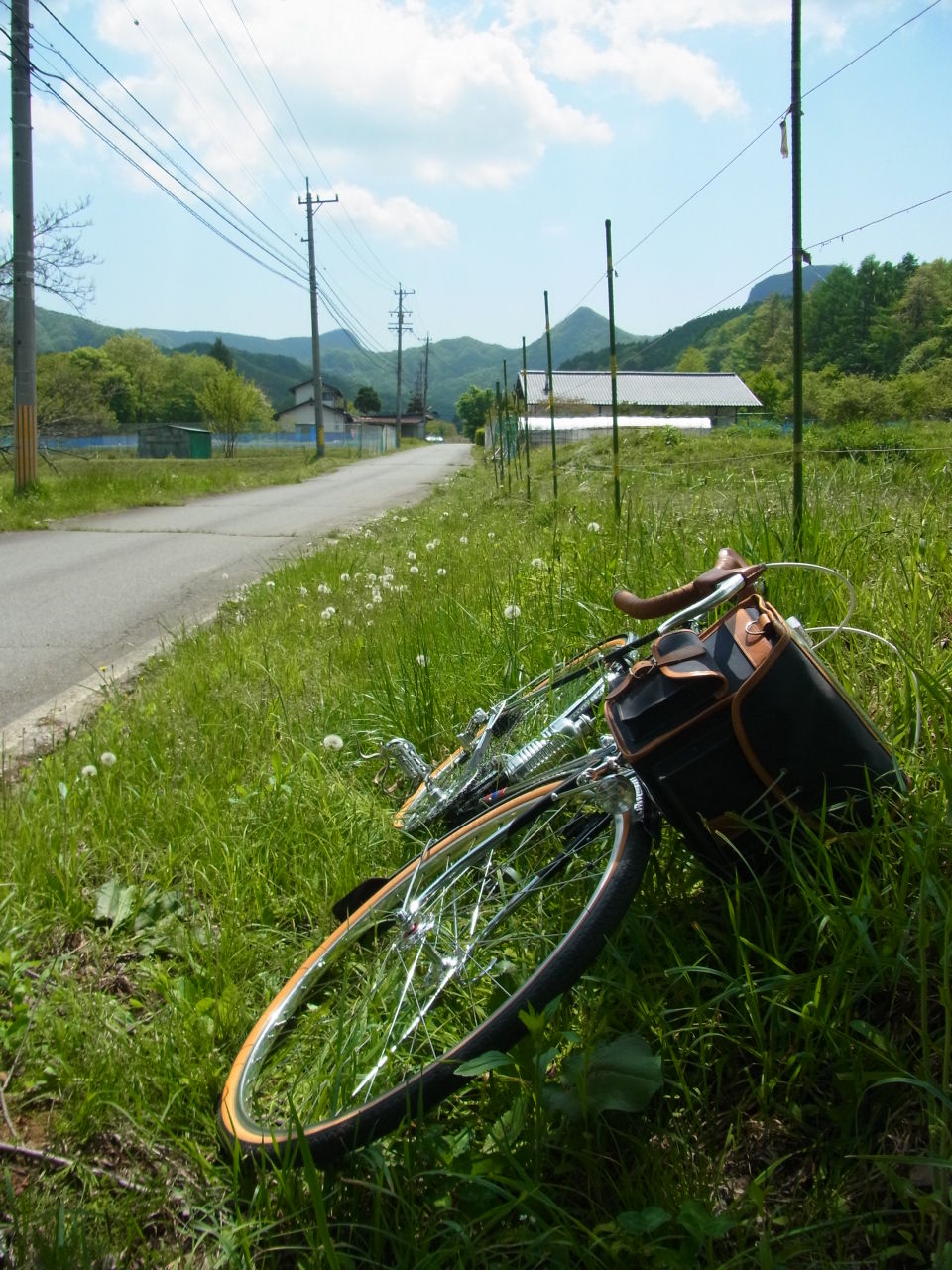 イメージ 10