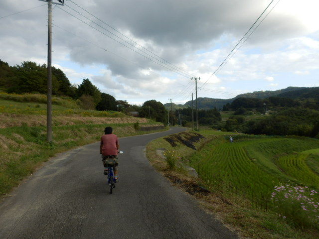イメージ 31