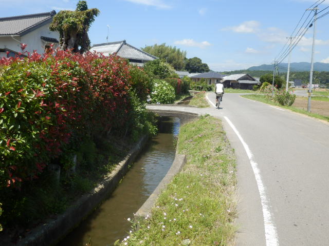 イメージ 12
