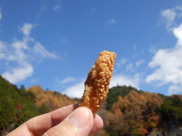 イメージ 7