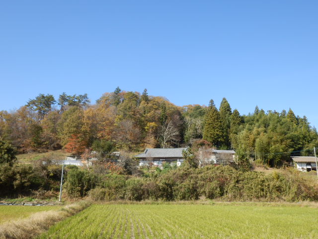 イメージ 16