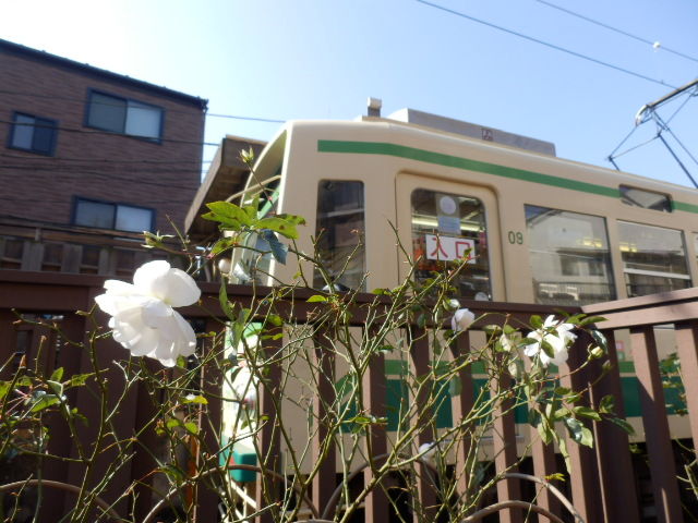 イメージ 7