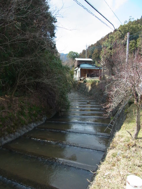 イメージ 13