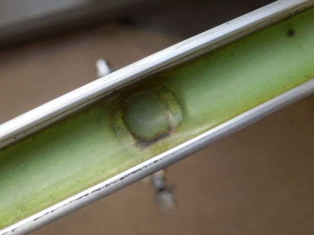 イメージ 8