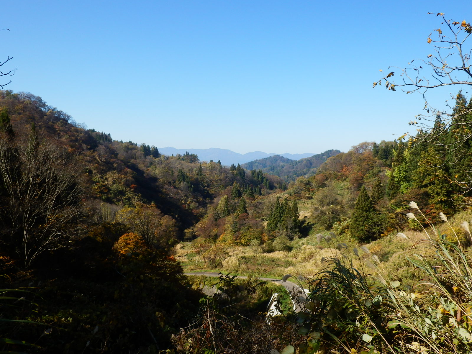 PB090128