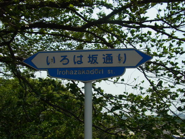 イメージ 9