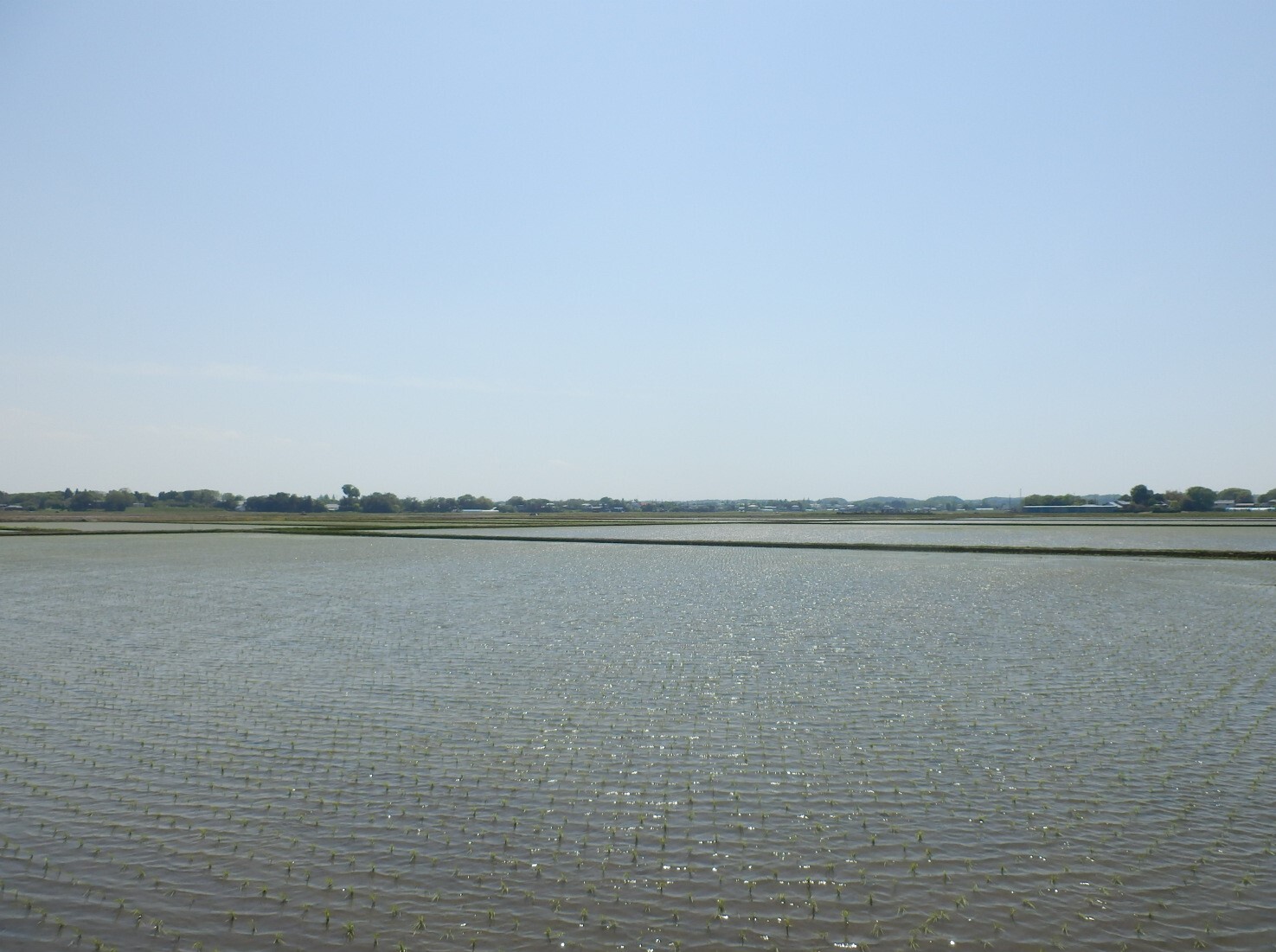 P4270105
