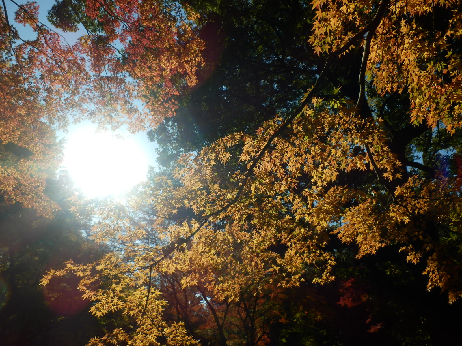 PC030079