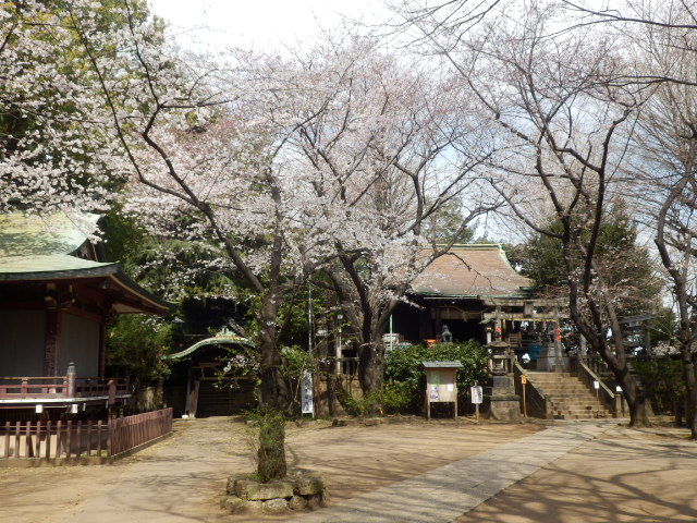 イメージ 1