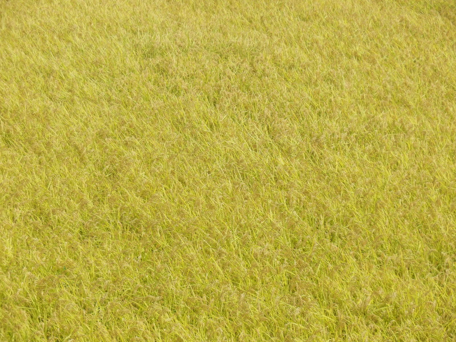 P9140007