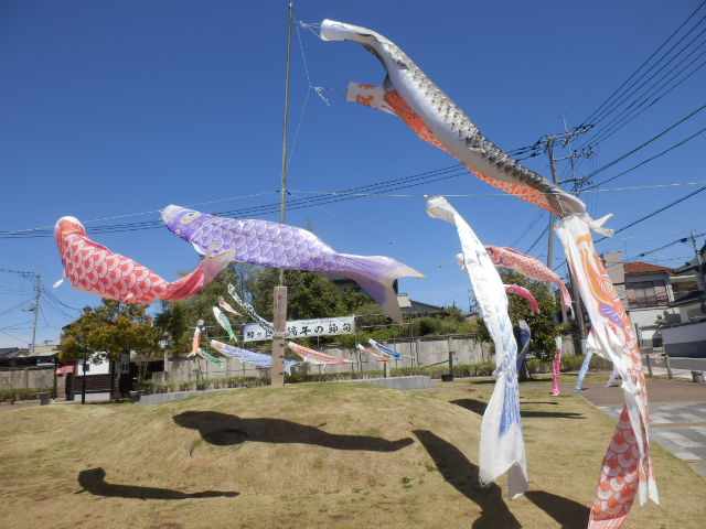 イメージ 5