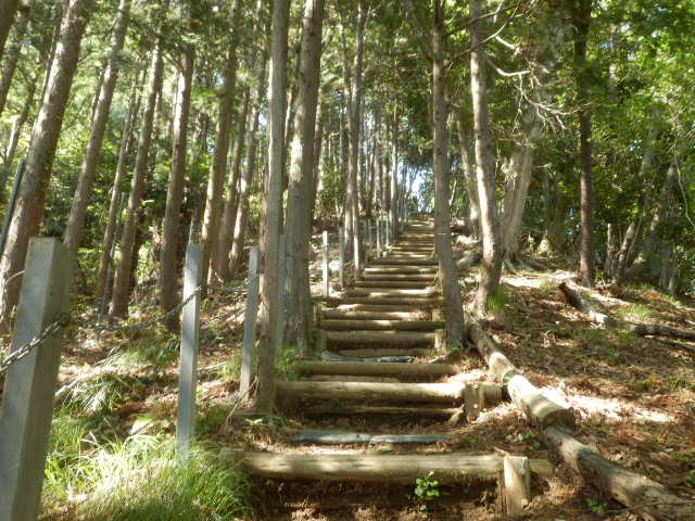 イメージ 56