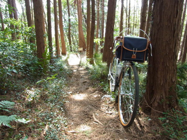 イメージ 10