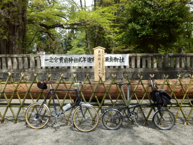 イメージ 7