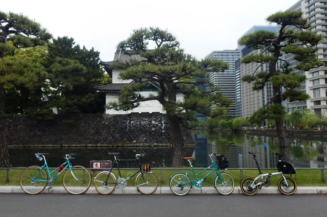 P5030044