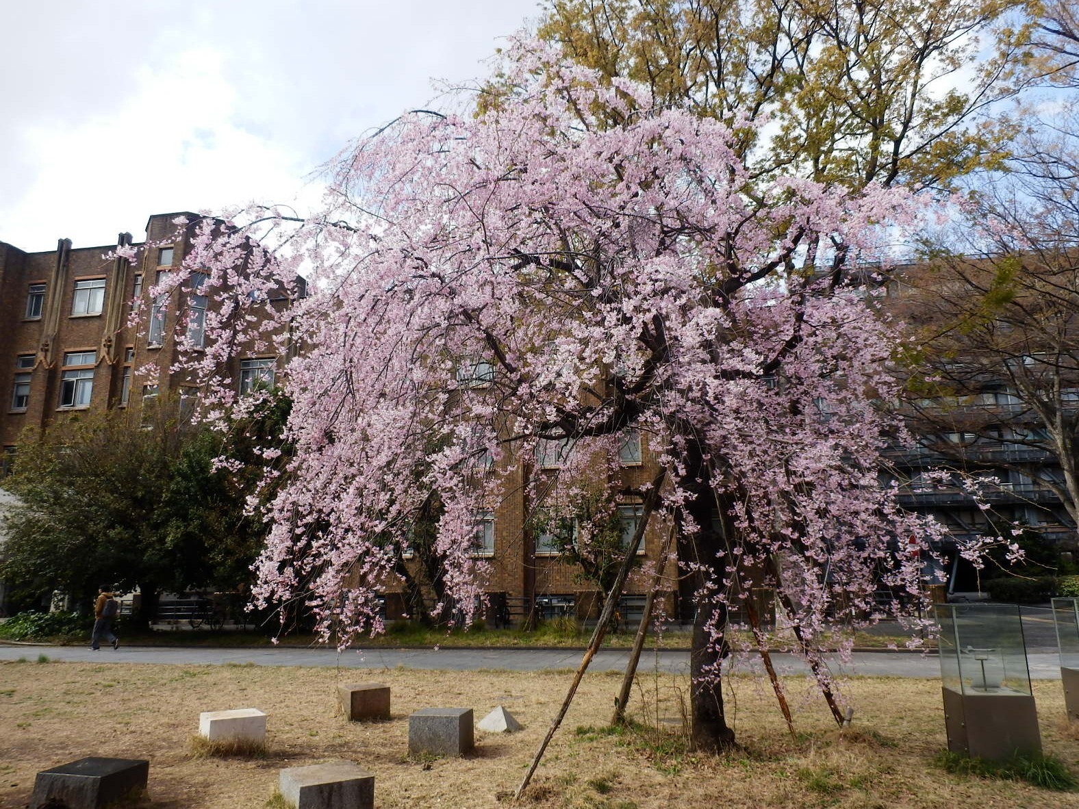 P3270080