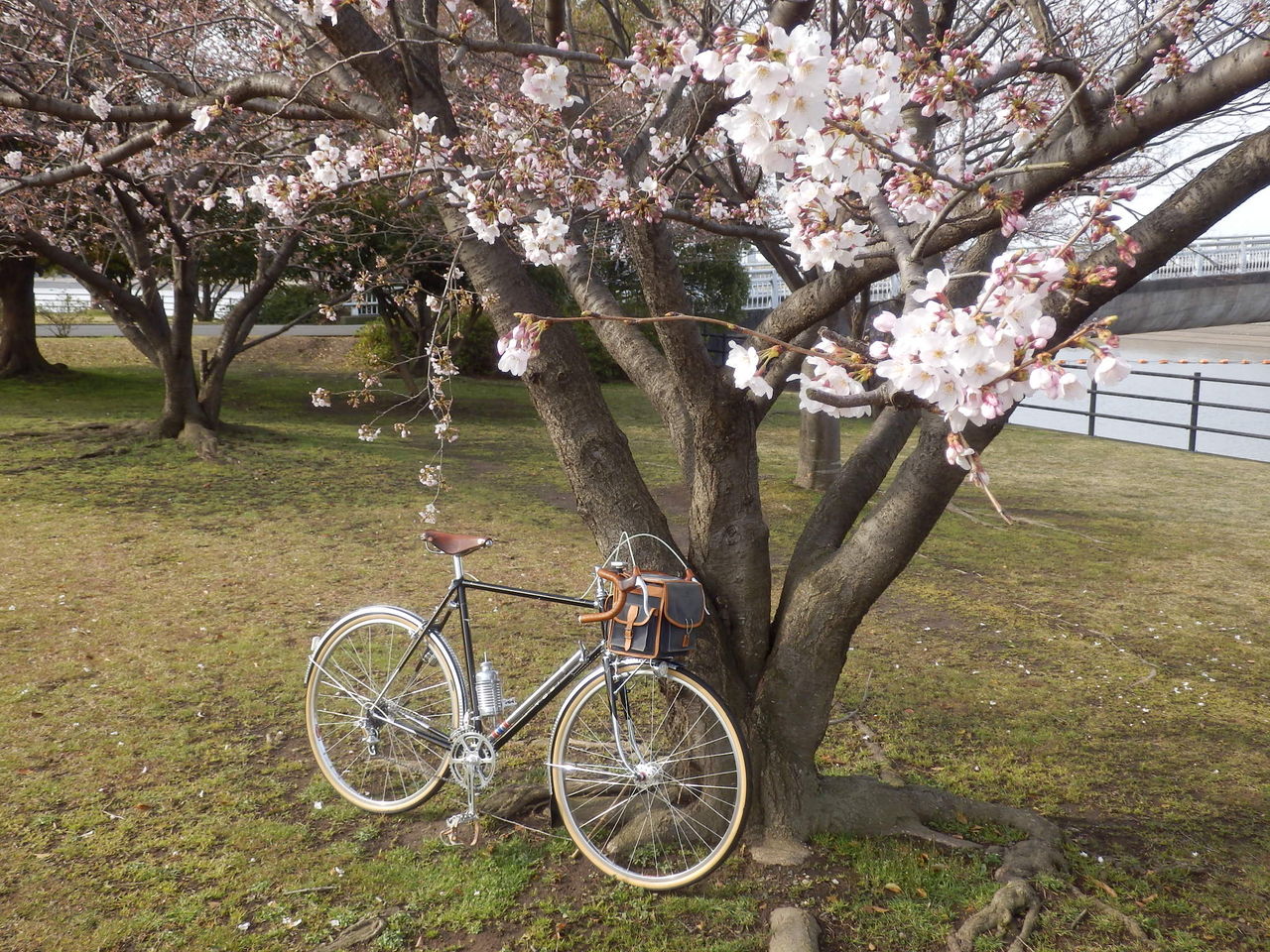 イメージ 1