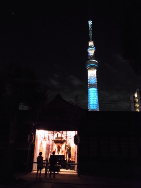イメージ 5