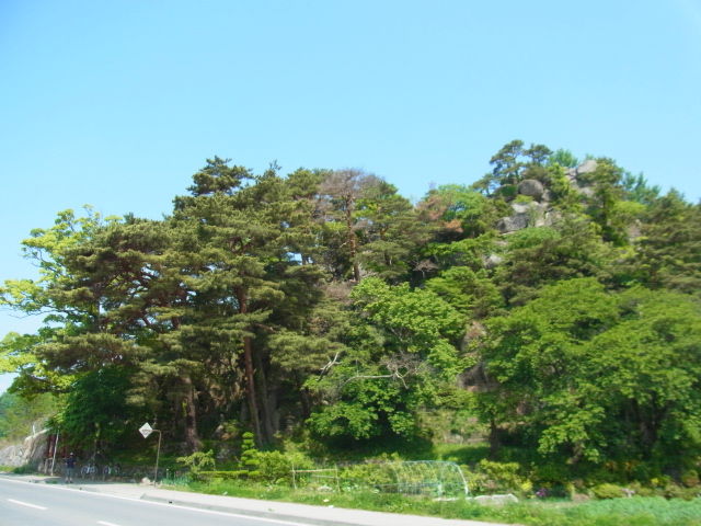 イメージ 6