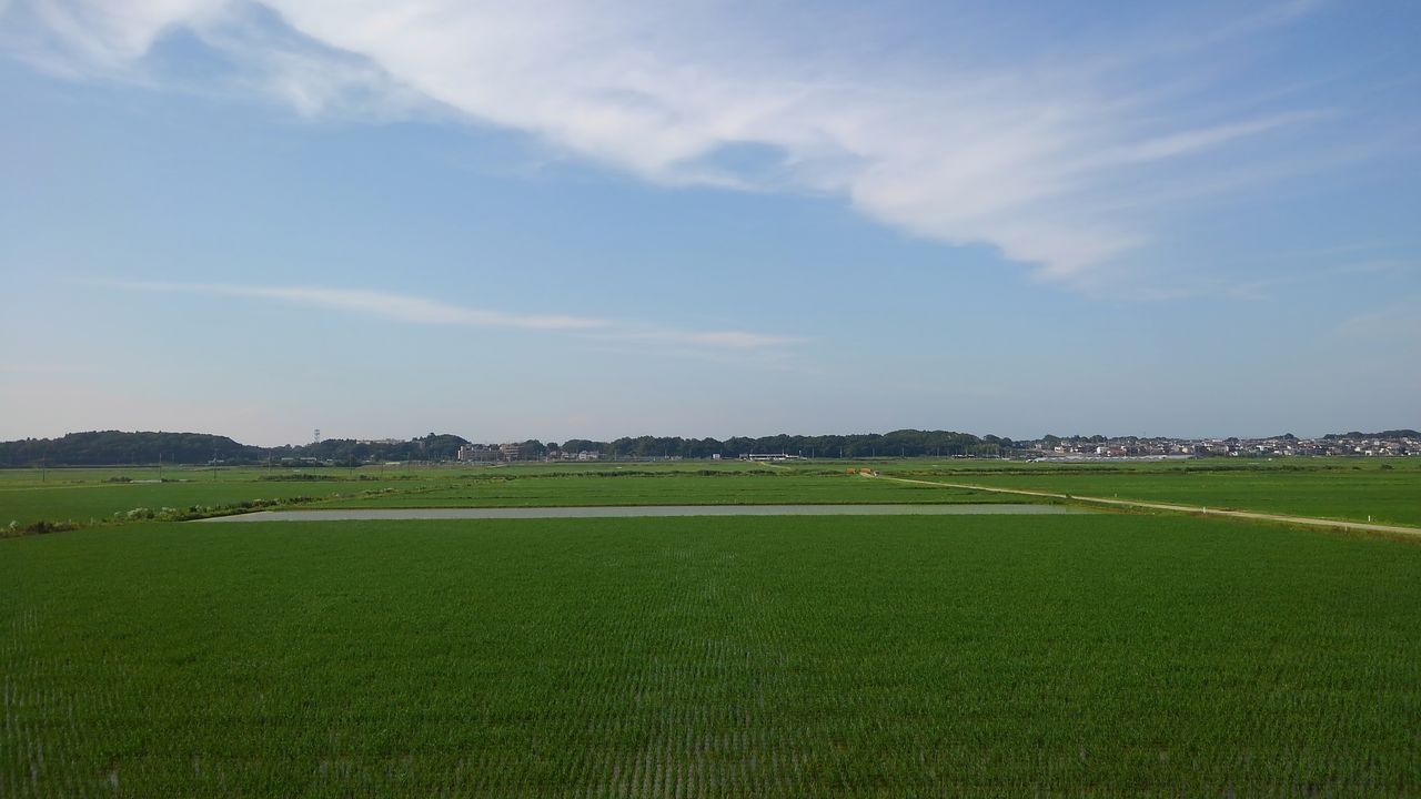イメージ 11