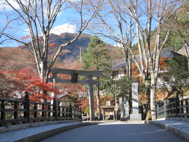 イメージ 37