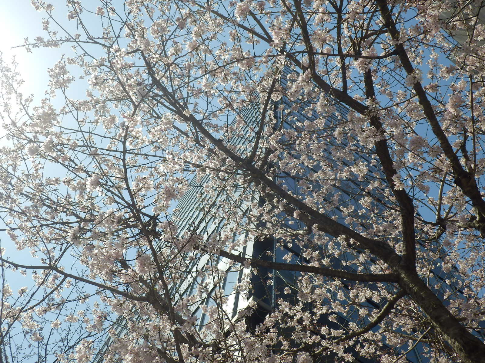 P3310018