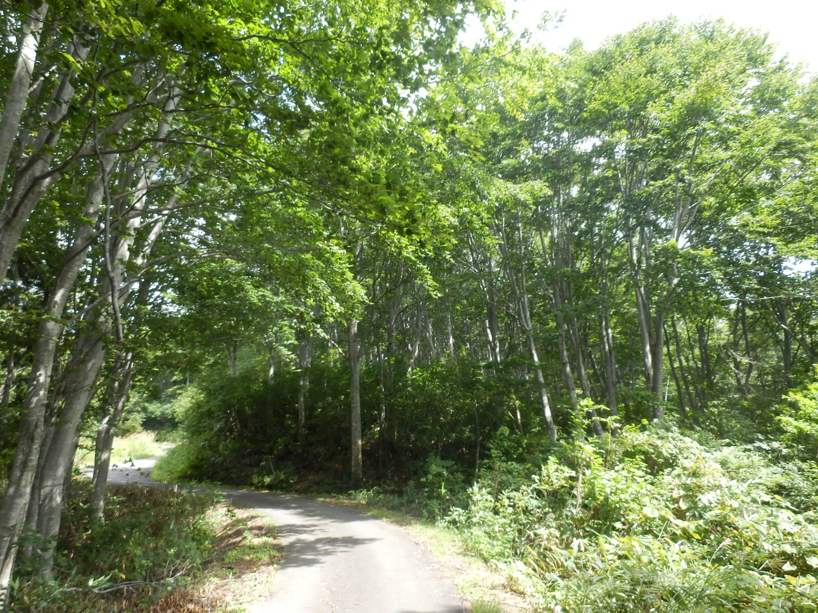 P9140068