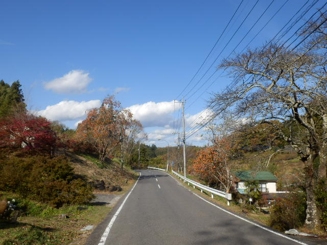 イメージ 22