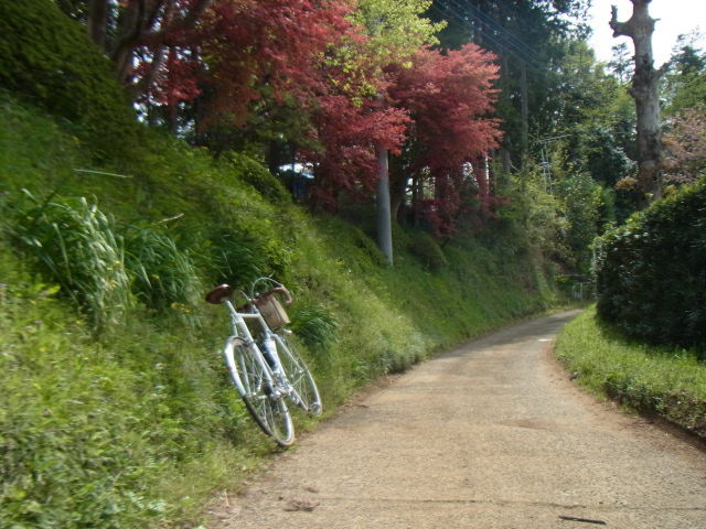 イメージ 11