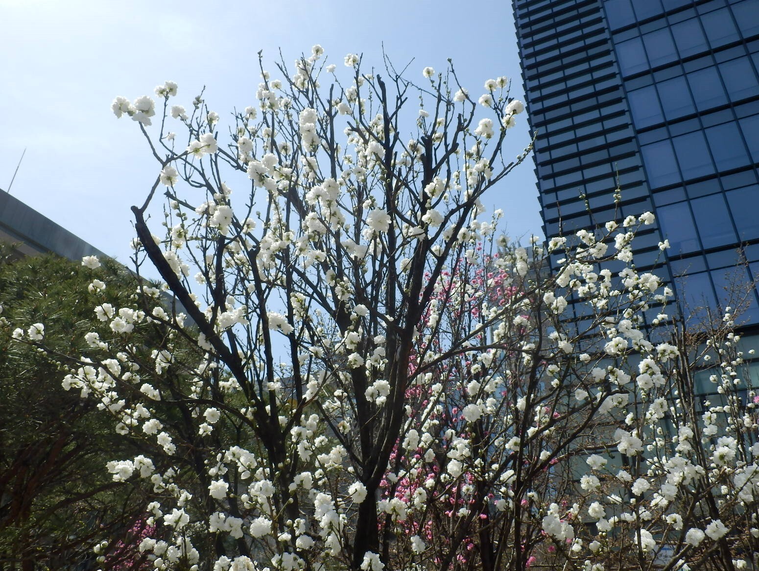 P3310011