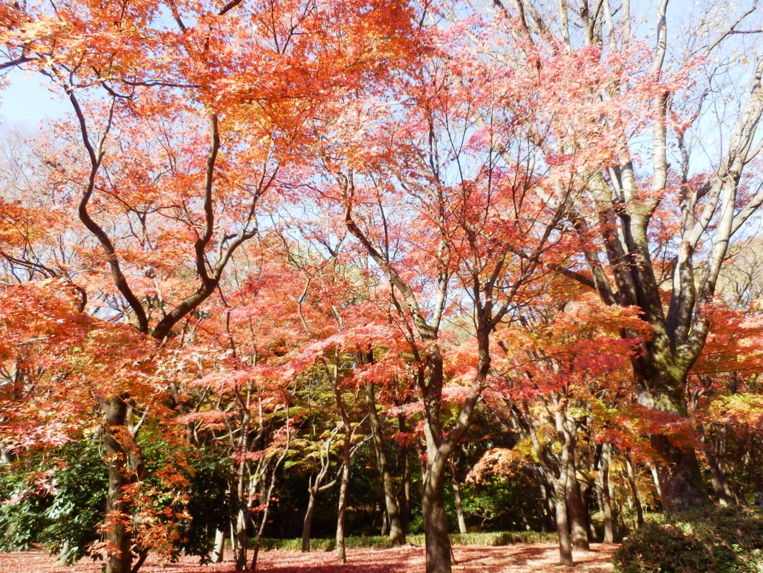 PC040010
