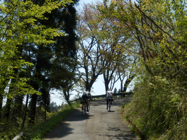 イメージ 11