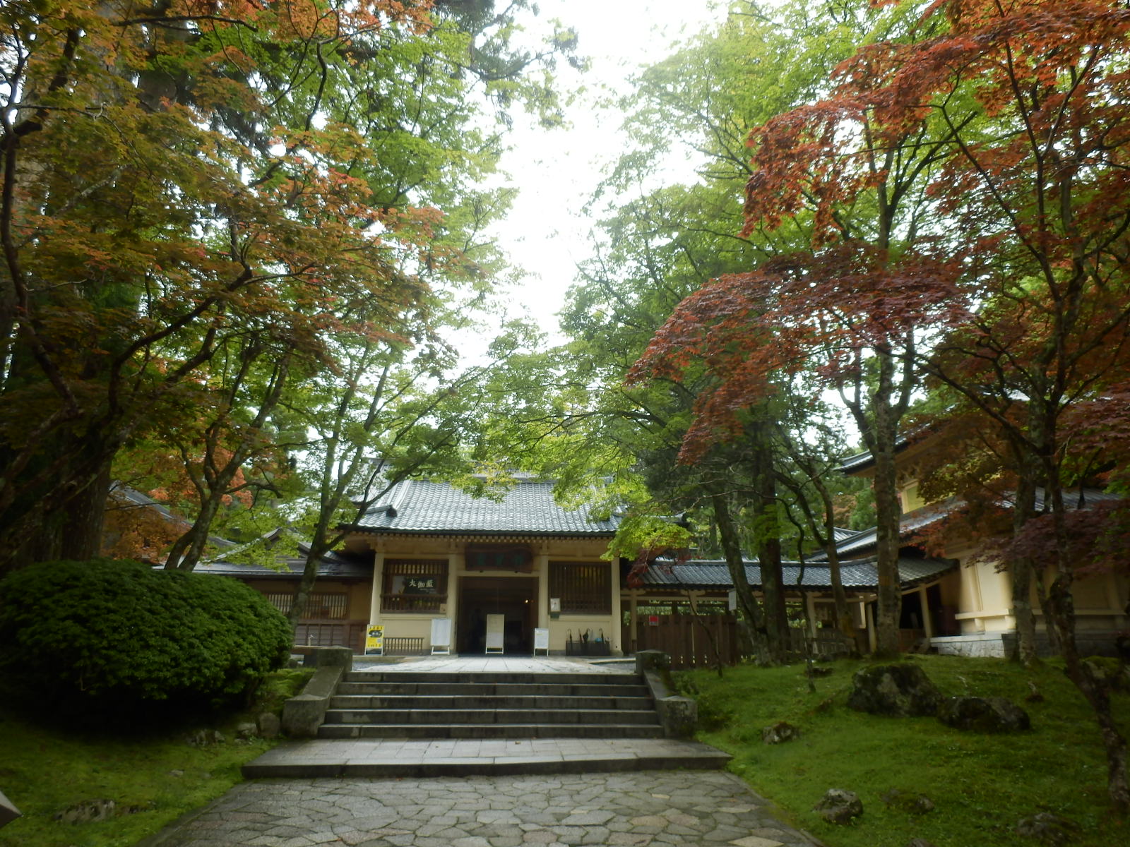 P6140578