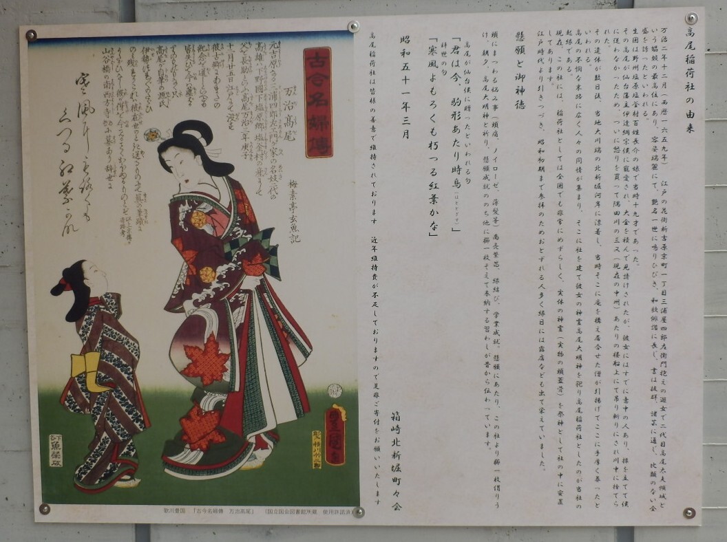 P5030008