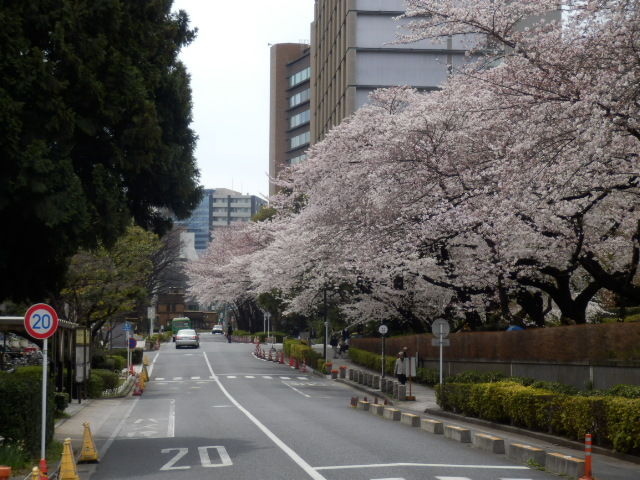 イメージ 12