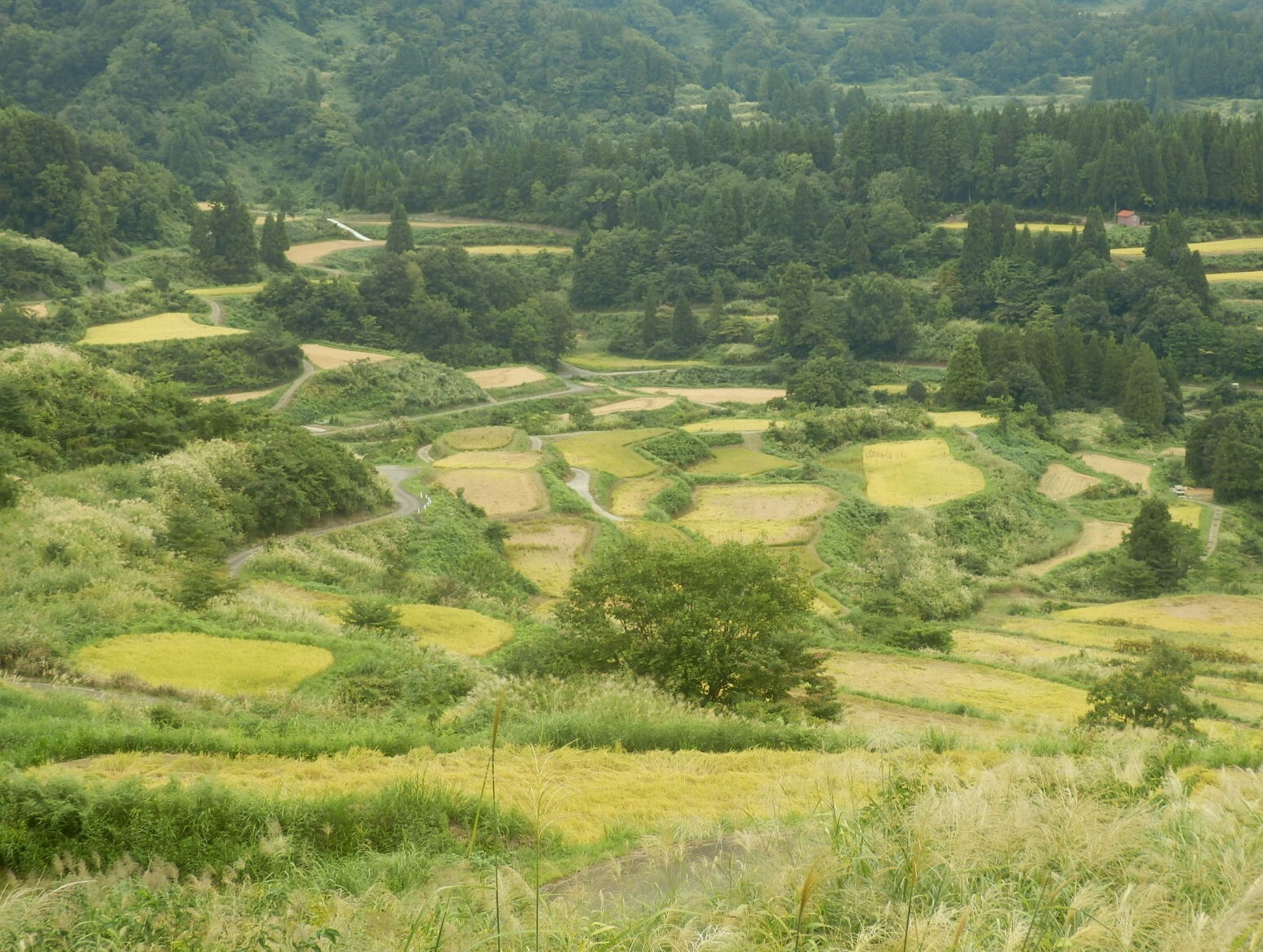 P9140136